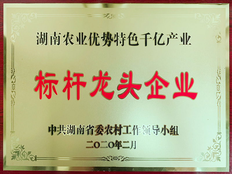 標(biāo)桿龍頭企業(yè)