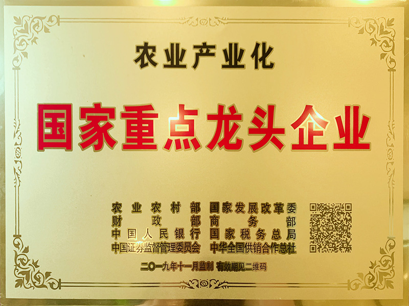 國家重點(diǎn)龍頭企業(yè)